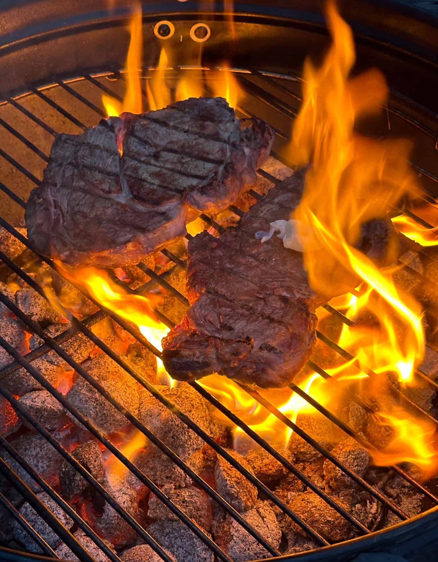 Nutrient-dense, animal-based nutrition Nutrient-dense, animal-based nutrition